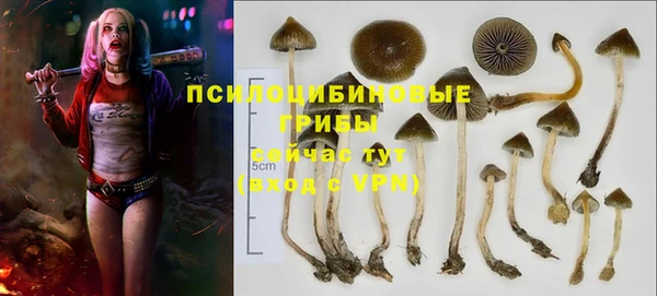 твердый Гусев