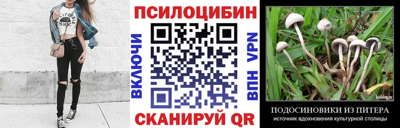Псилоцибиновые грибы мухоморы площадка официальный сайт Темников